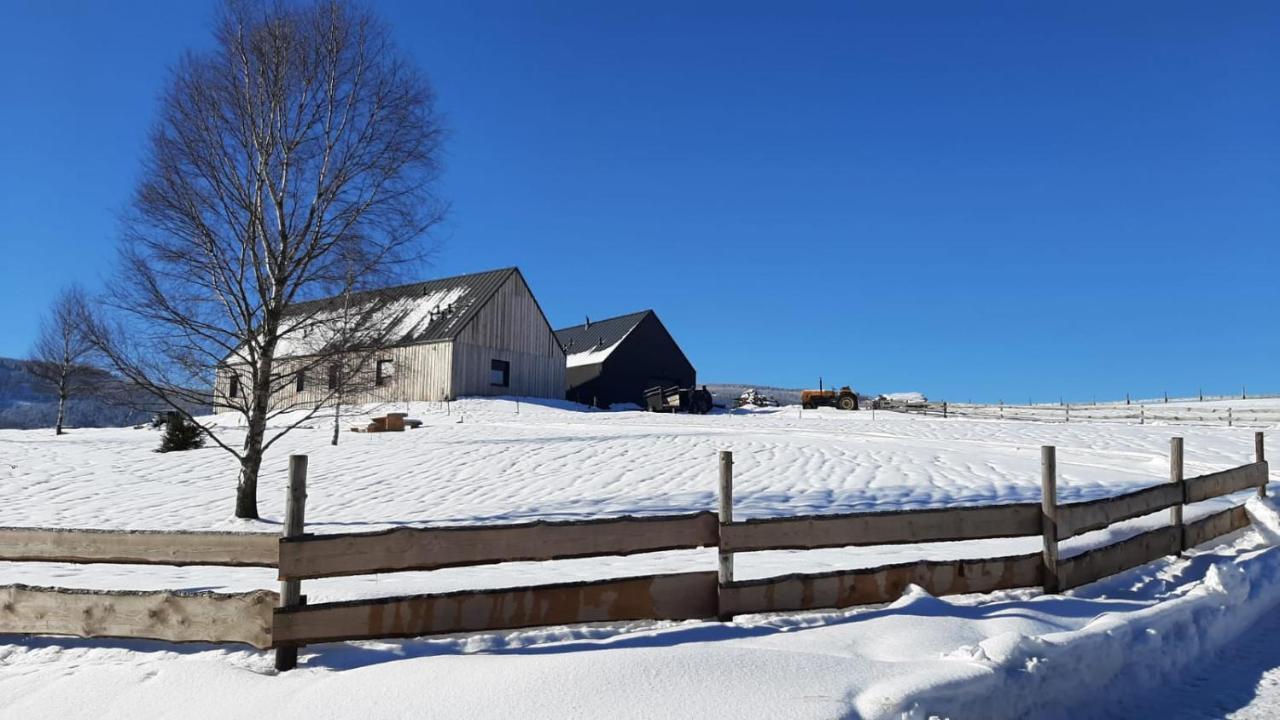 Wzgorze Owiec Sheep Hill Mostowice Extérieur photo